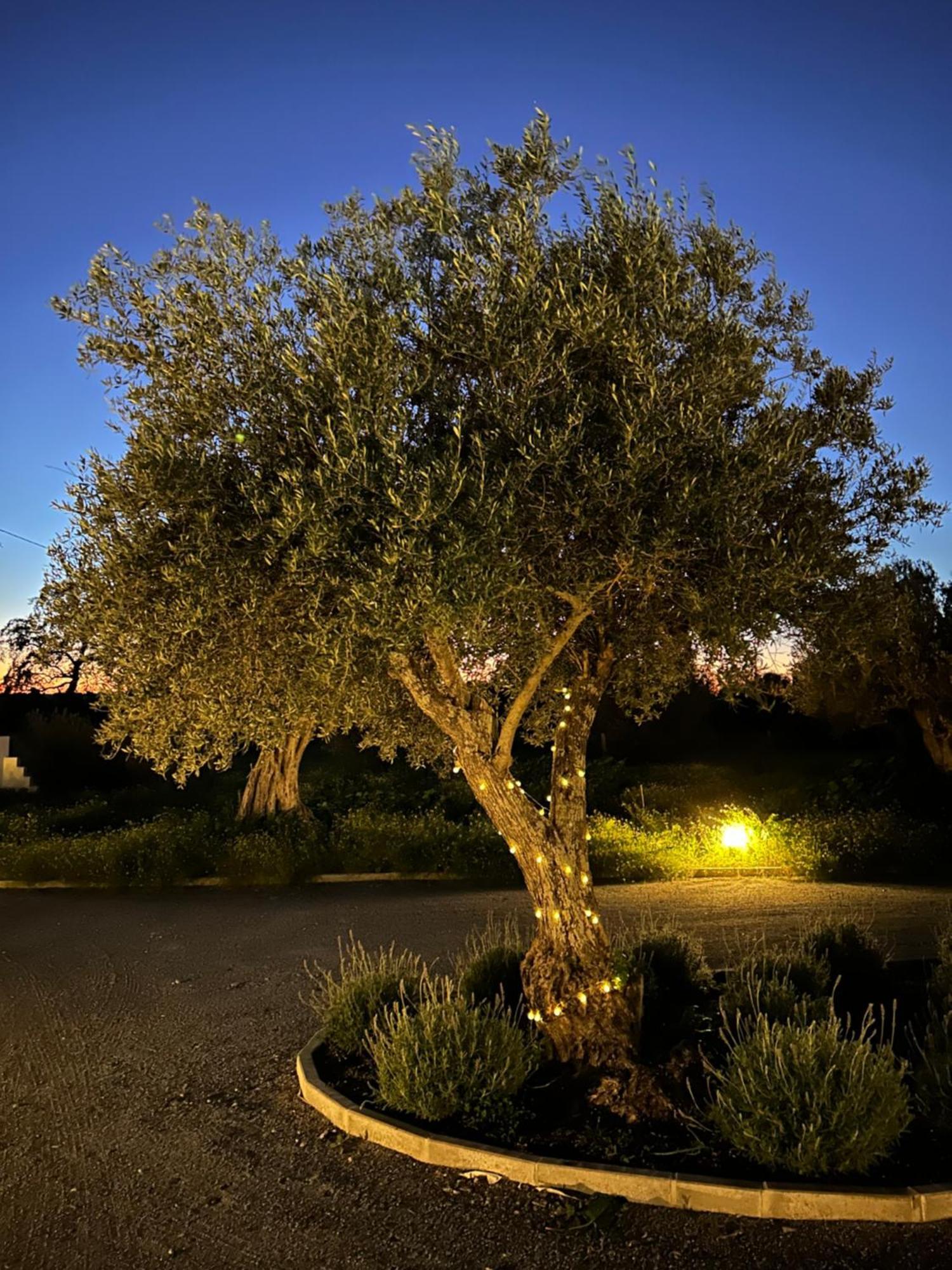 Monte De Santa Maria Villa Monsaraz Exteriör bild
